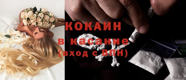 индика Нязепетровск