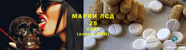 индика Нязепетровск