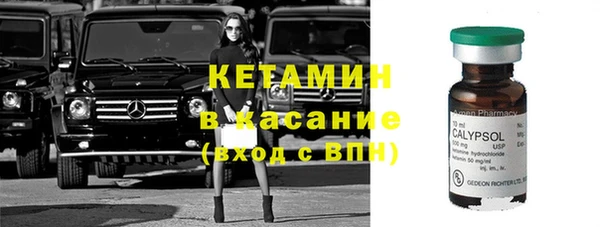 индика Нязепетровск