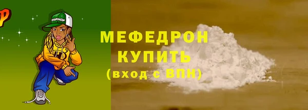 индика Нязепетровск