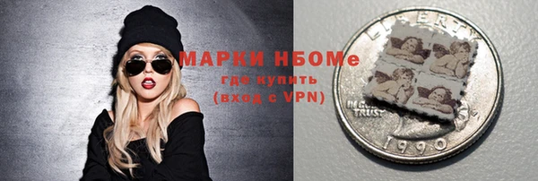 индика Нязепетровск