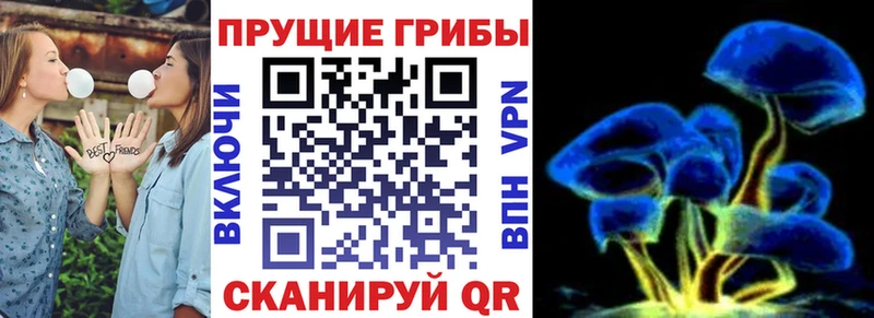 наркота  Спас-Клепики  Псилоцибиновые грибы Psilocybine cubensis 